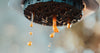 How to Make Coffee Concentrate