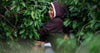 Valuing the Labor of Women in the Coffee Industry