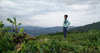 Staff Picks: Honoring Earth Day, One Coffee at a Time