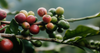 Join Grow Ahead's Fight for Climate Justice