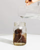 The Complete Cold Brew Guide to Summer