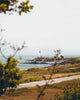 Trade Coffee Trails: Northern California Coffee Roasters
