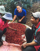 Go green like a pro with expert sustainability tips