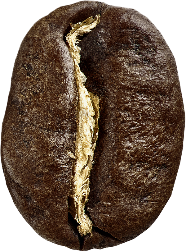 Dark Roast Subscription