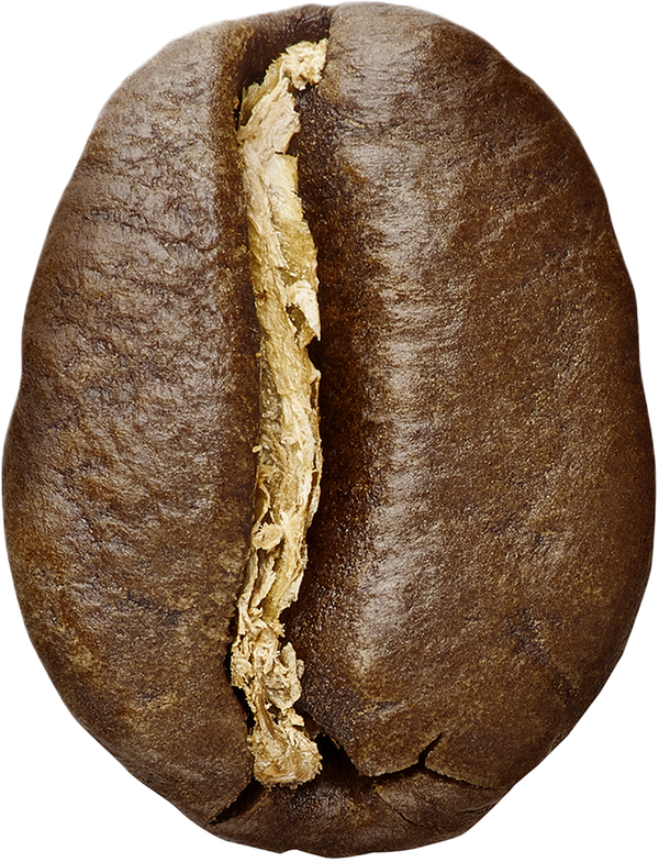 Medium Roast Subscription