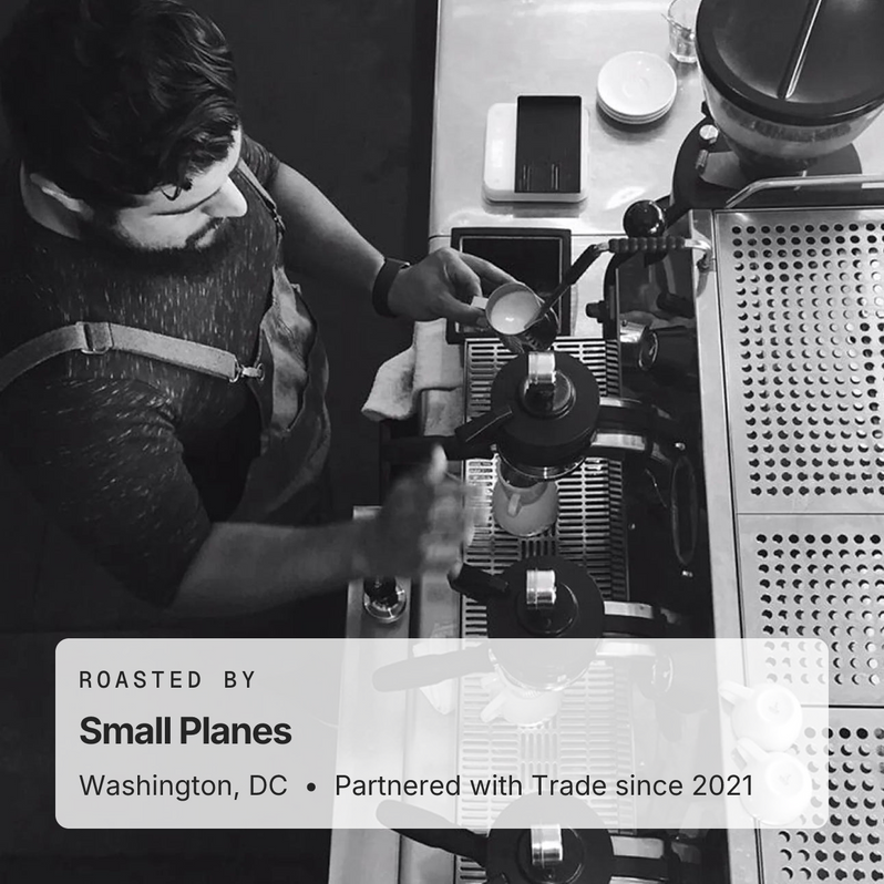 Roasted by Small Planes, Washington, DC