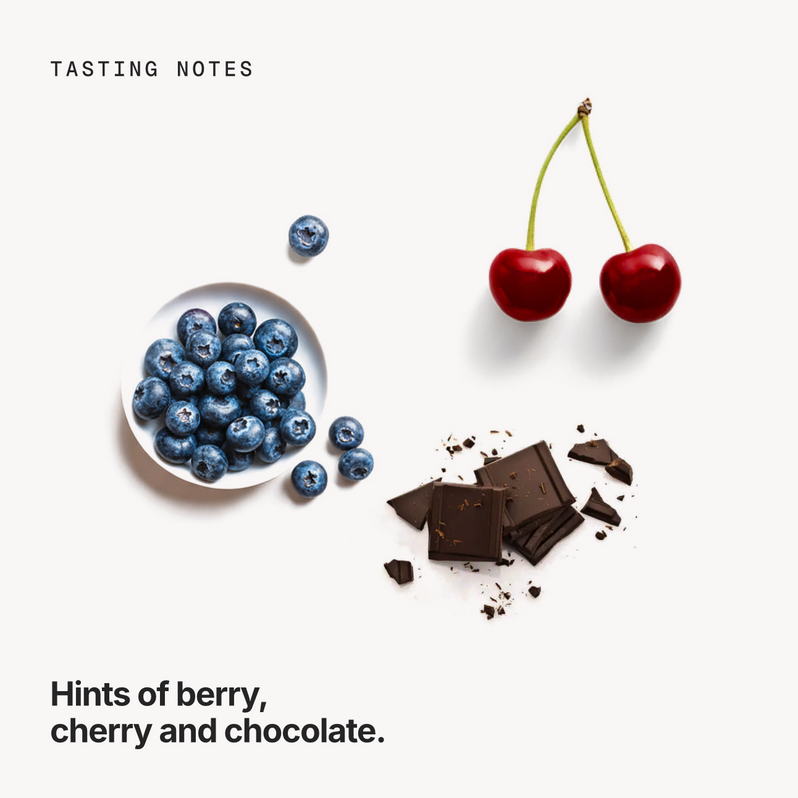 Tasting notes: berry, cherry and chocolate