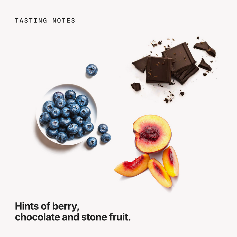 Tasting notes: berry, chocolate and stone fruit