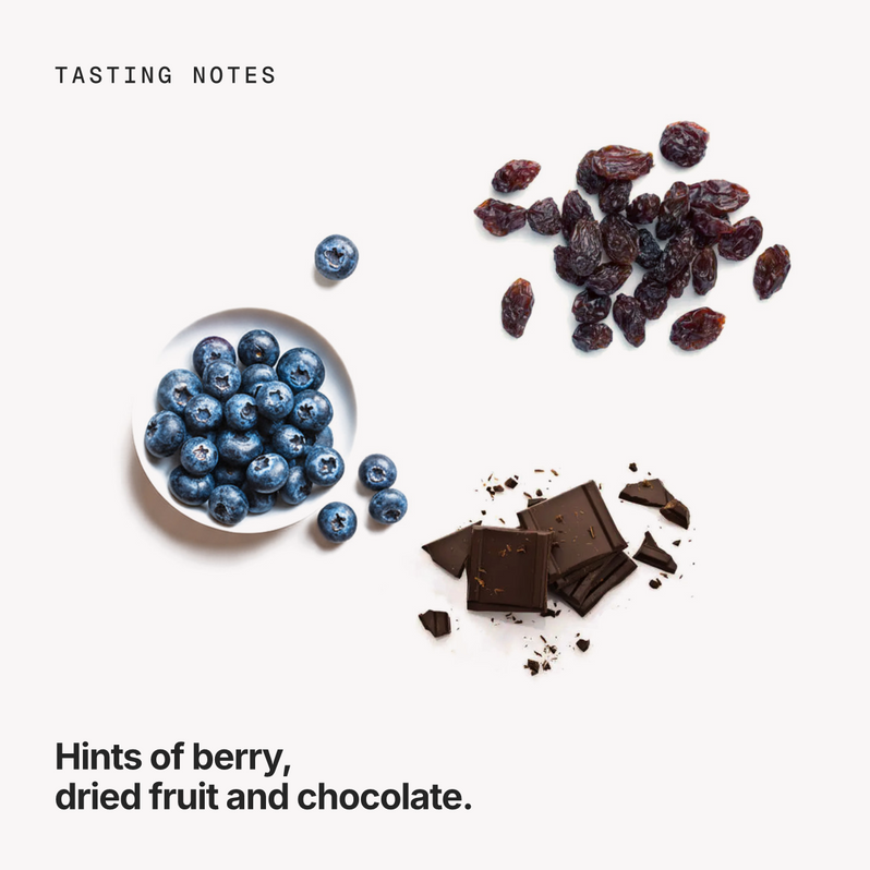 Tasting notes: berry, dried fruit and chocolate