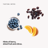 Tasting notes: berry, dried fruit and citrus