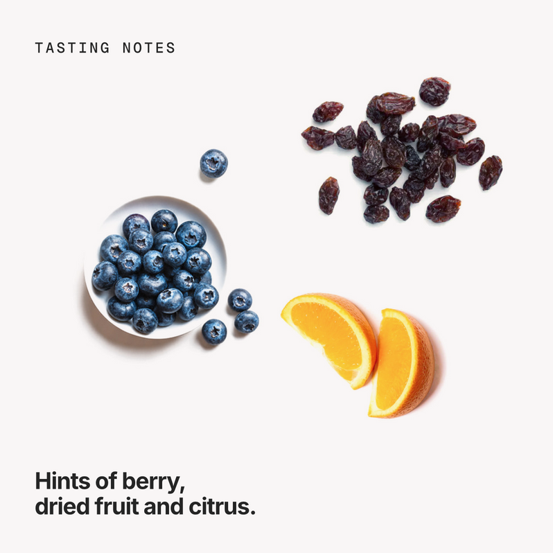 Tasting notes: berry, dried fruit and citrus