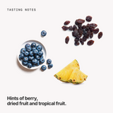 Tasting notes: berry, dried fruit and tropical fruit