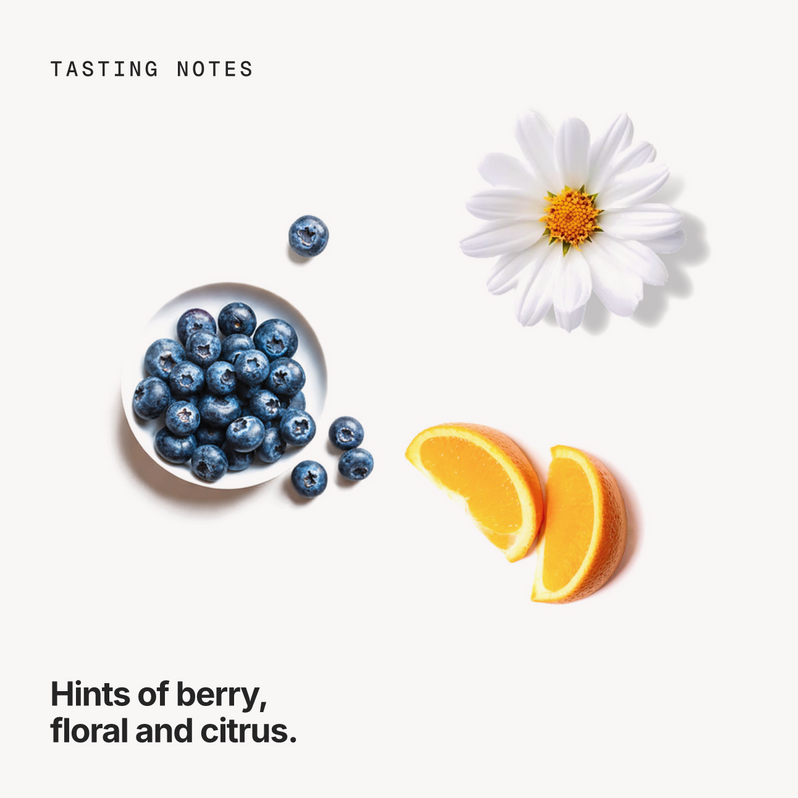 Tasting notes: berry, floral and citrus