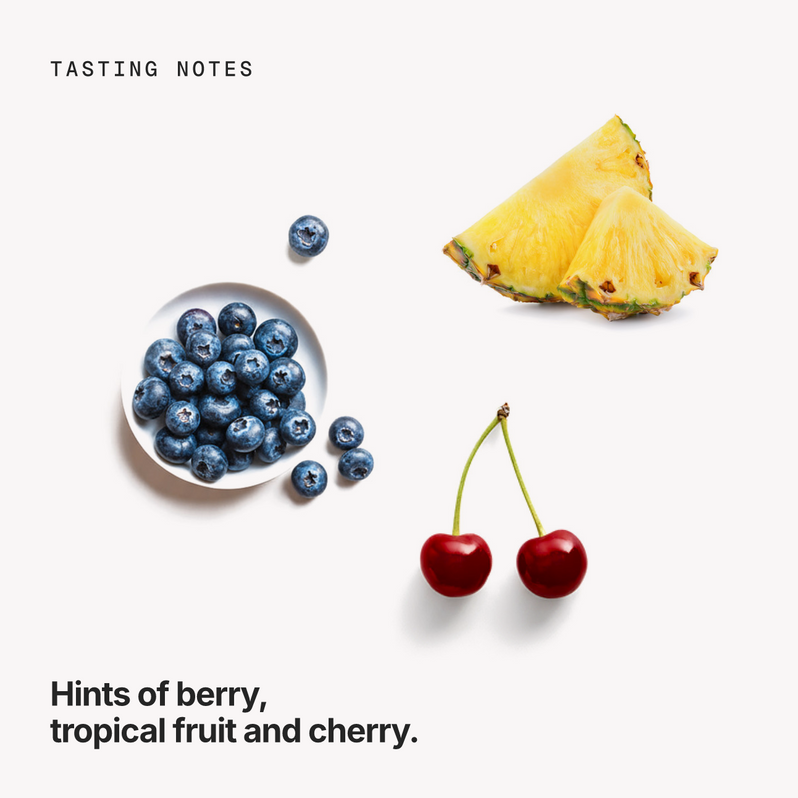 Tasting notes: berry, tropical fruit and cherry