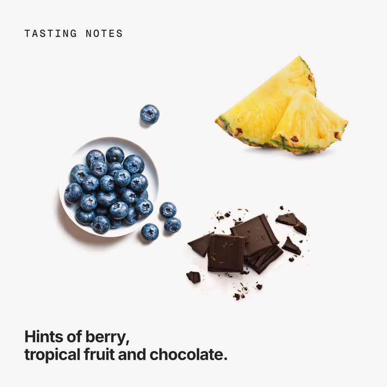 Tasting notes: berry, tropical fruit and chocolate