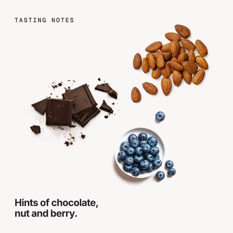 Tasting notes: chocolate, nut and berry