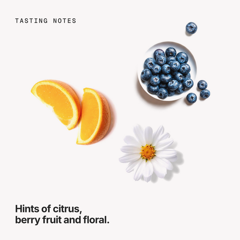 Tasting notes: citrus, berry fruit and floral