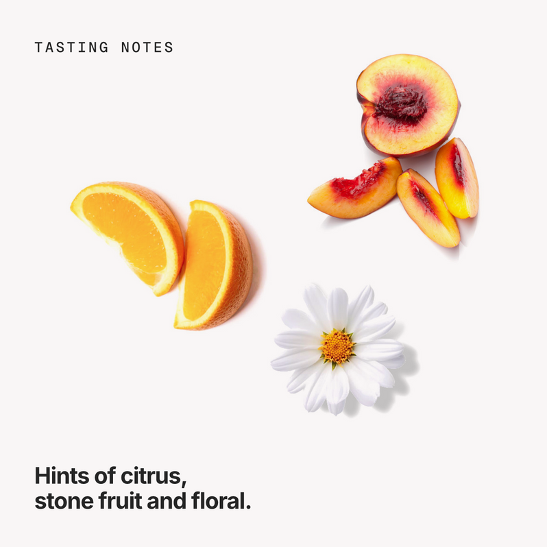 Tasting notes: citrus, stone fruit and floral