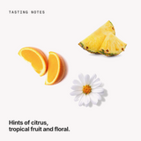 Tasting notes: citrus, tropical fruit and floral
