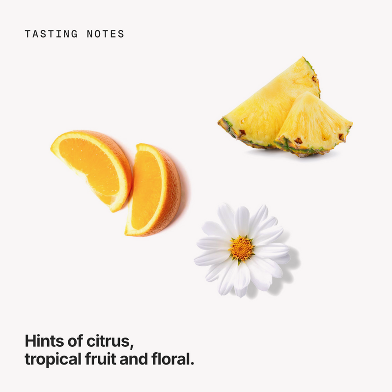 Tasting notes: citrus, tropical fruit and floral