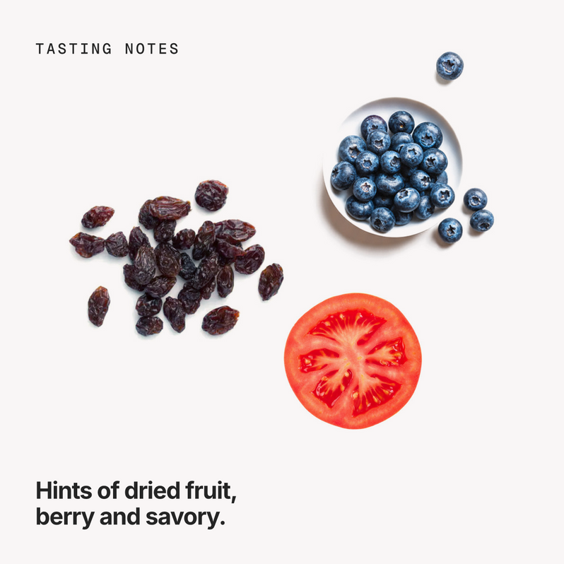 Tasting notes: dried fruit, berry and savory