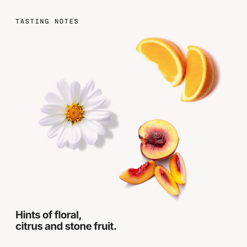 Tasting notes: floral, citrus and stone fruit