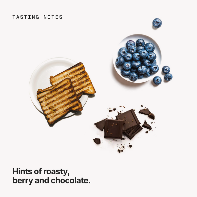Tasting notes: roasty, berry and chocolate
