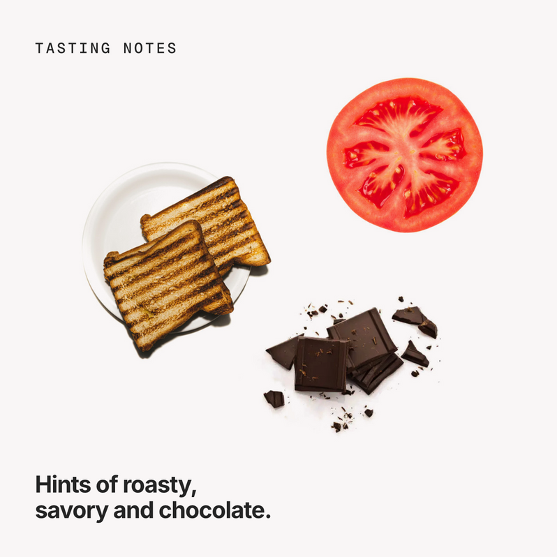 Tasting notes: roasty, savory and chocolate