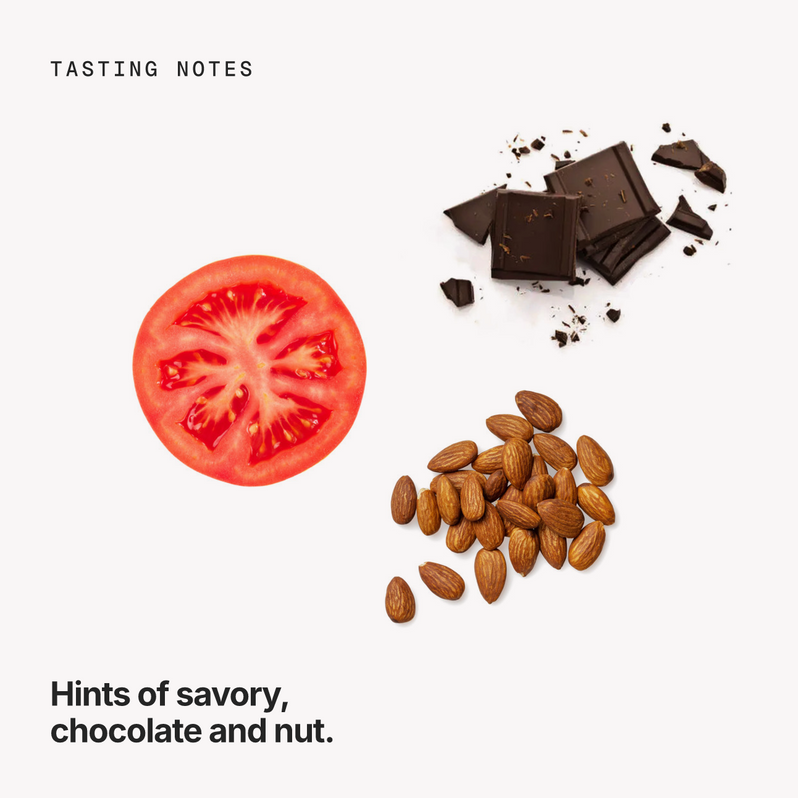 Tasting notes: savory, chocolate and nut