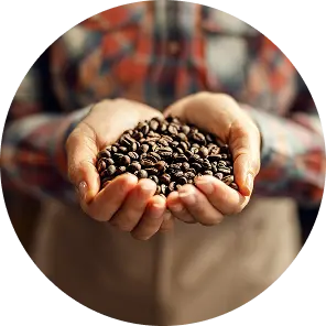 An obsession with great cofee